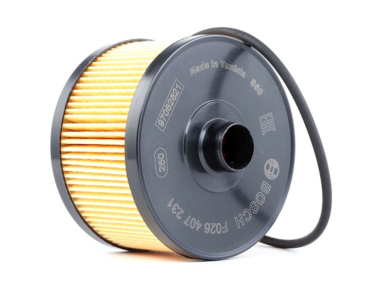 Bosch Insert Oil Filter for Renault Kadjar & Qashqai Cars, New Shape - F 026 407 231
